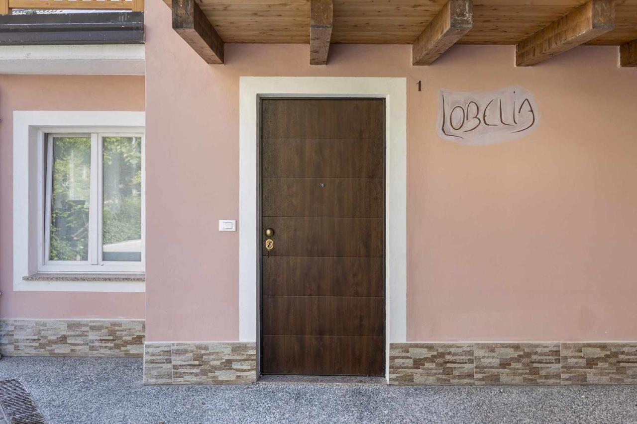 Carzano Agritur Horizonアパートメント エクステリア 写真